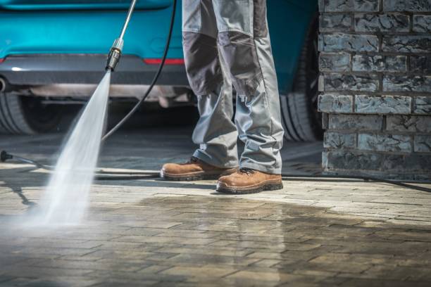 Best Roof Washing  in Neillsville, WI
