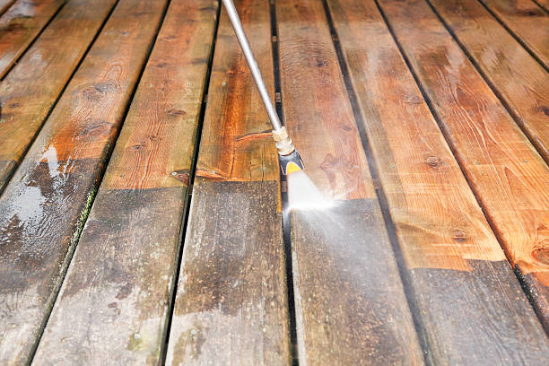 Best Gutter Cleaning  in Neillsville, WI